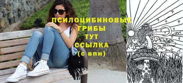 дурь Заволжск