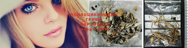 марки nbome Заводоуковск