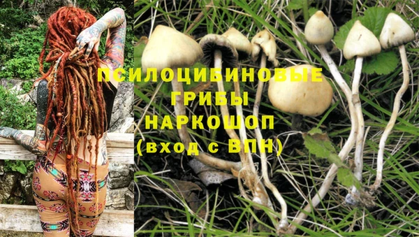 дурь Заволжск