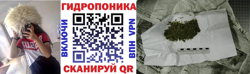 Купить  Шимановск  МАРИХУАНА индика 